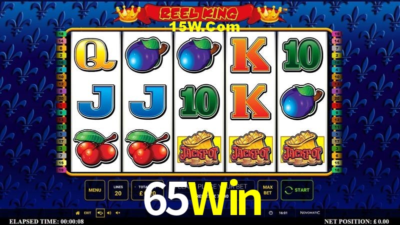 Experiência VIP 65Win